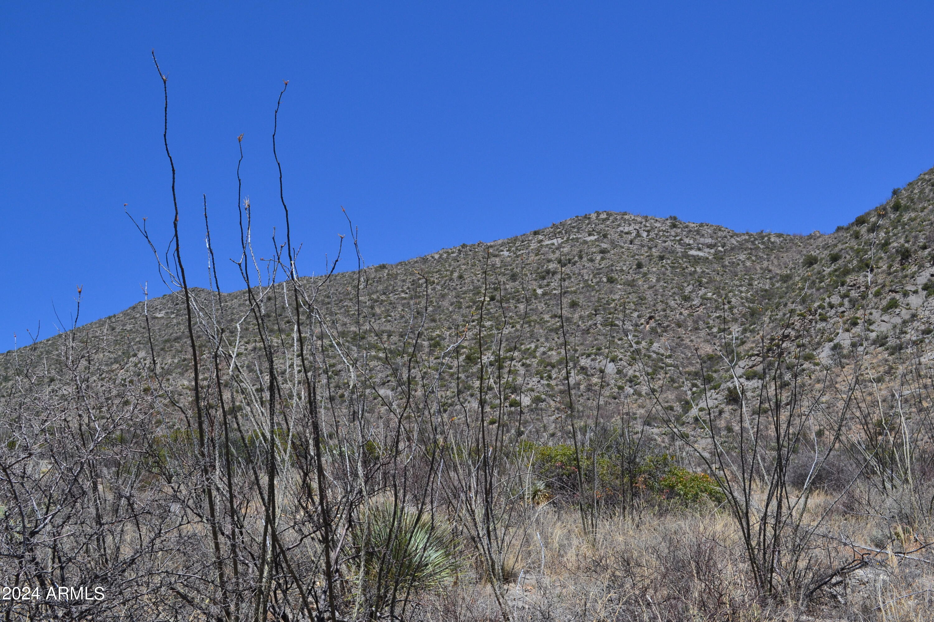 Tbd South Limestone Road, Unit 13W & 013V San Simon, AZ 85632 - Photo 20 of 20 DSC_1131