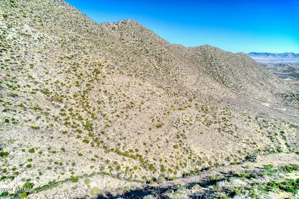 $92,900 | Tbd South Limestone Road, Unit 13W & 013V, San Simon, AZ 85632