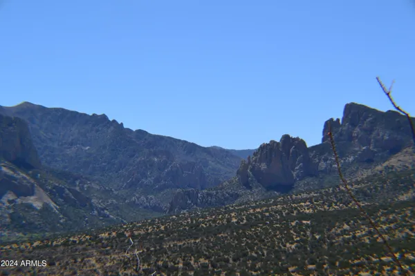 $92,900 | Tbd South Limestone Road, Unit 13W & 013V, San Simon, AZ 85632