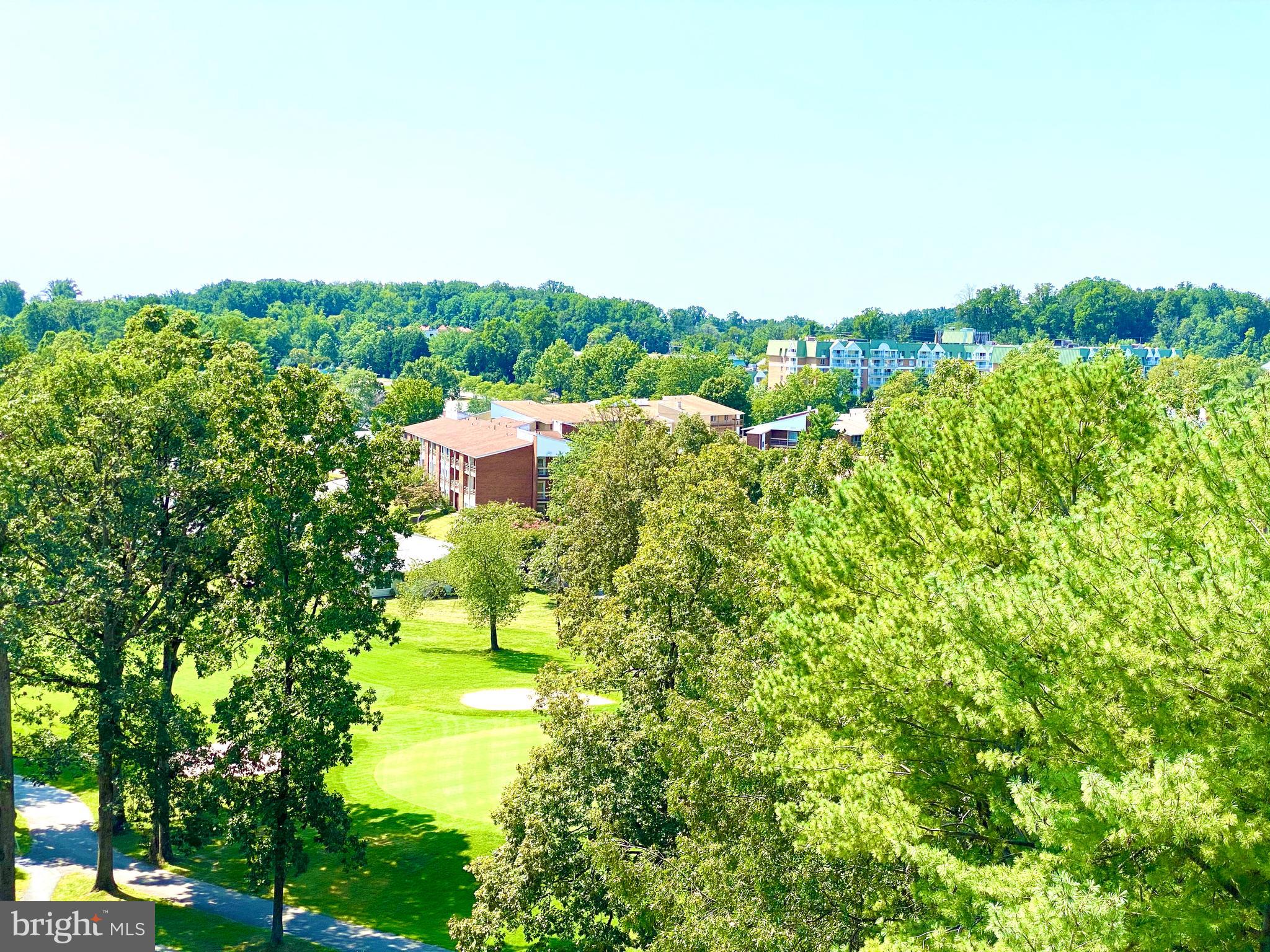 15115 Interlachen Drive, Unit 3812 Silver Spring, MD 20906 - Photo 15 of 39 View of golf course from enclosed balcony
