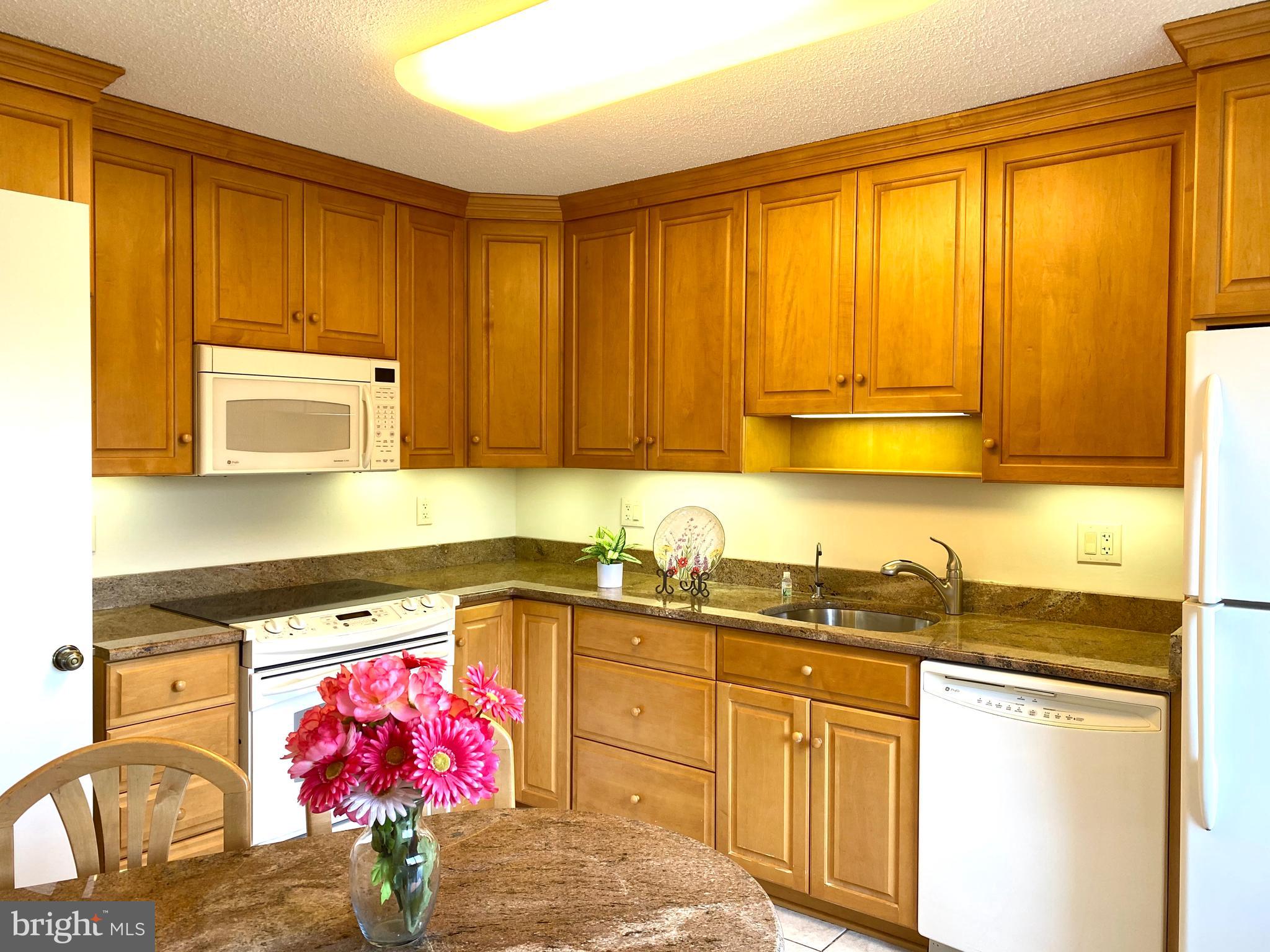 15115 Interlachen Drive, Unit 3812 Silver Spring, MD 20906 - Photo 18 of 39 Updated kitchen with granite counters