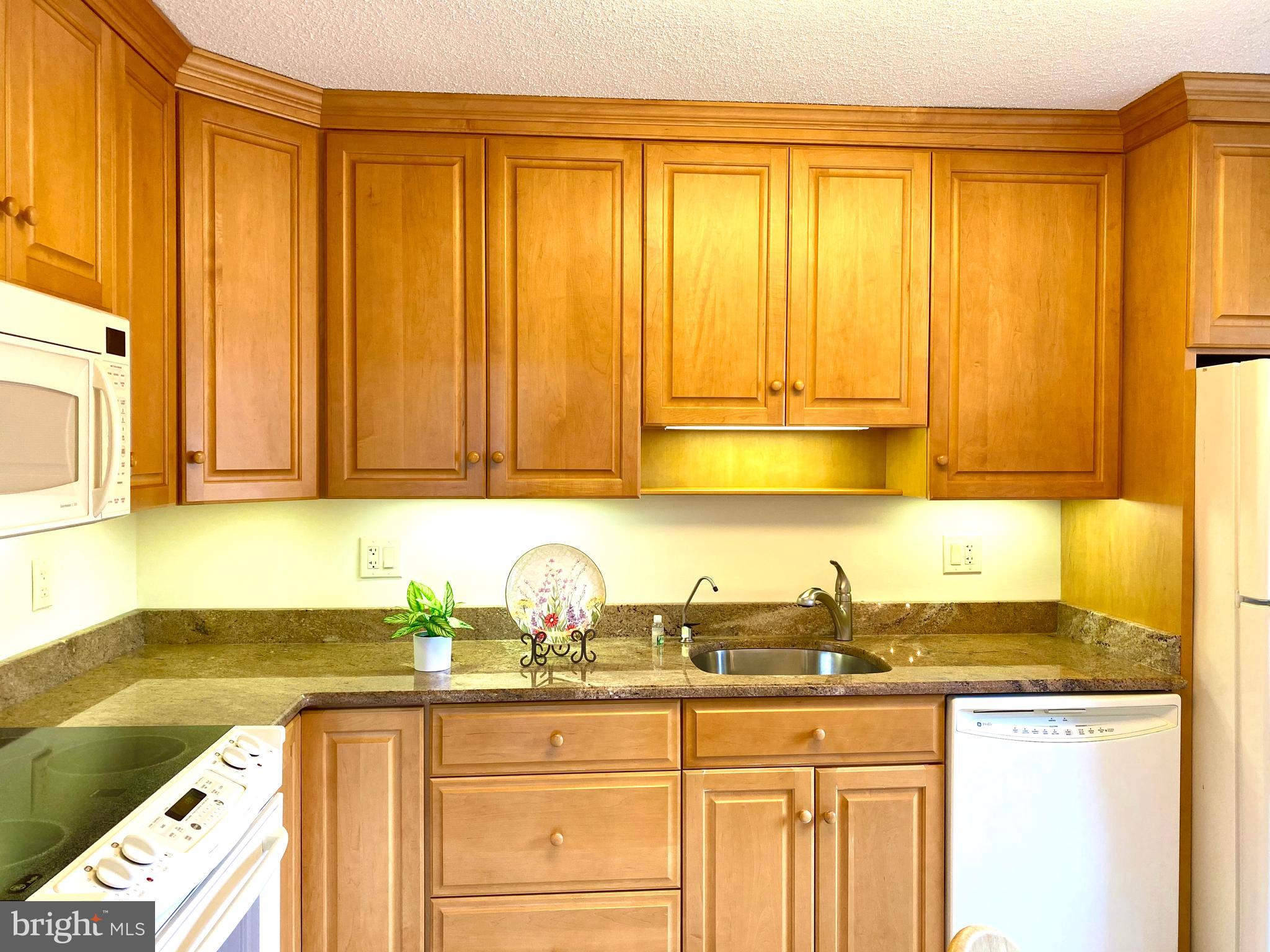15115 Interlachen Drive, Unit 3812 Silver Spring, MD 20906 - Photo 19 of 39 Updated cabinets and under cabinet lighting