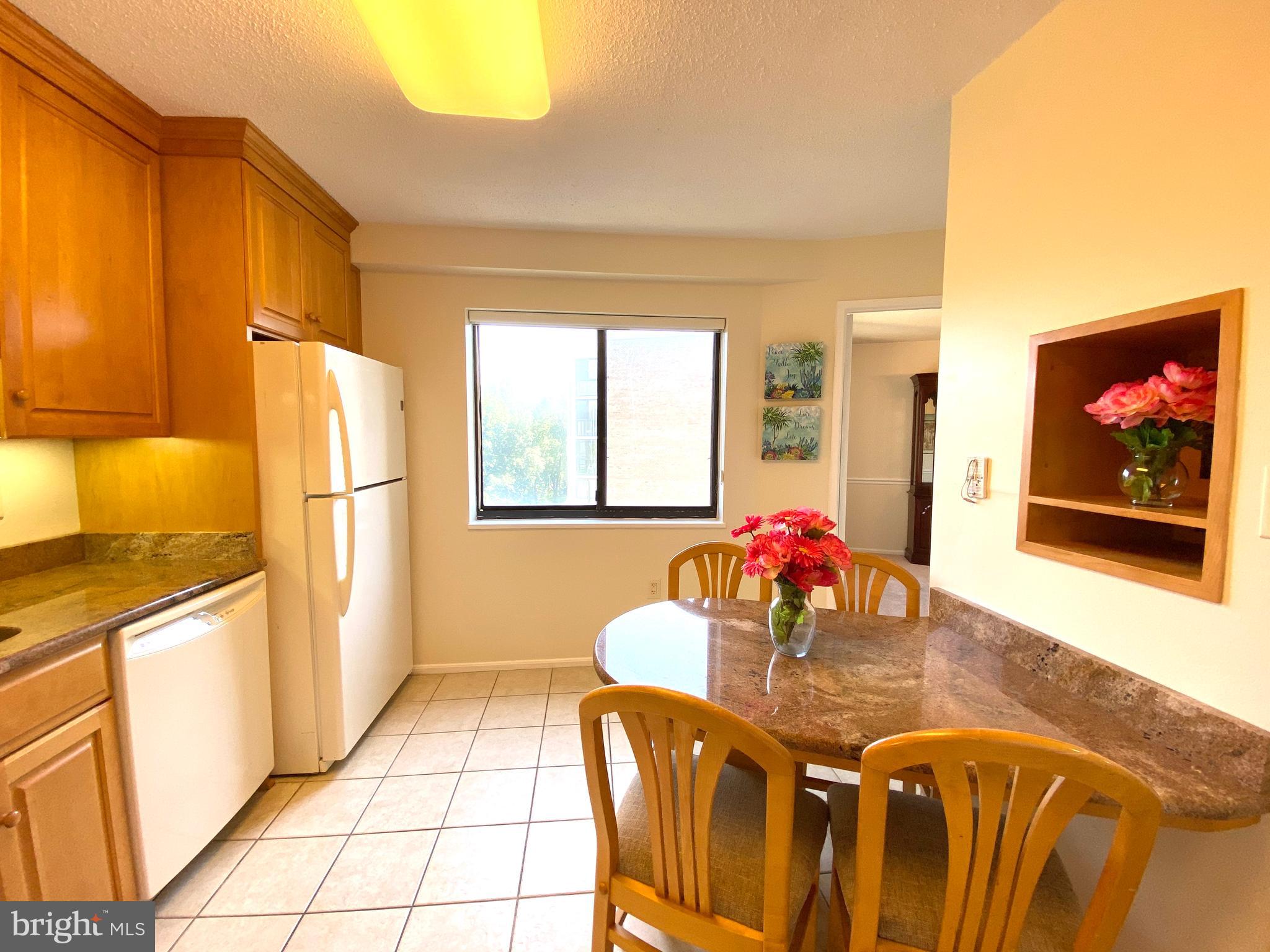 15115 Interlachen Drive, Unit 3812 Silver Spring, MD 20906 - Photo 21 of 39 Lot of natural light, big window in the kitchen