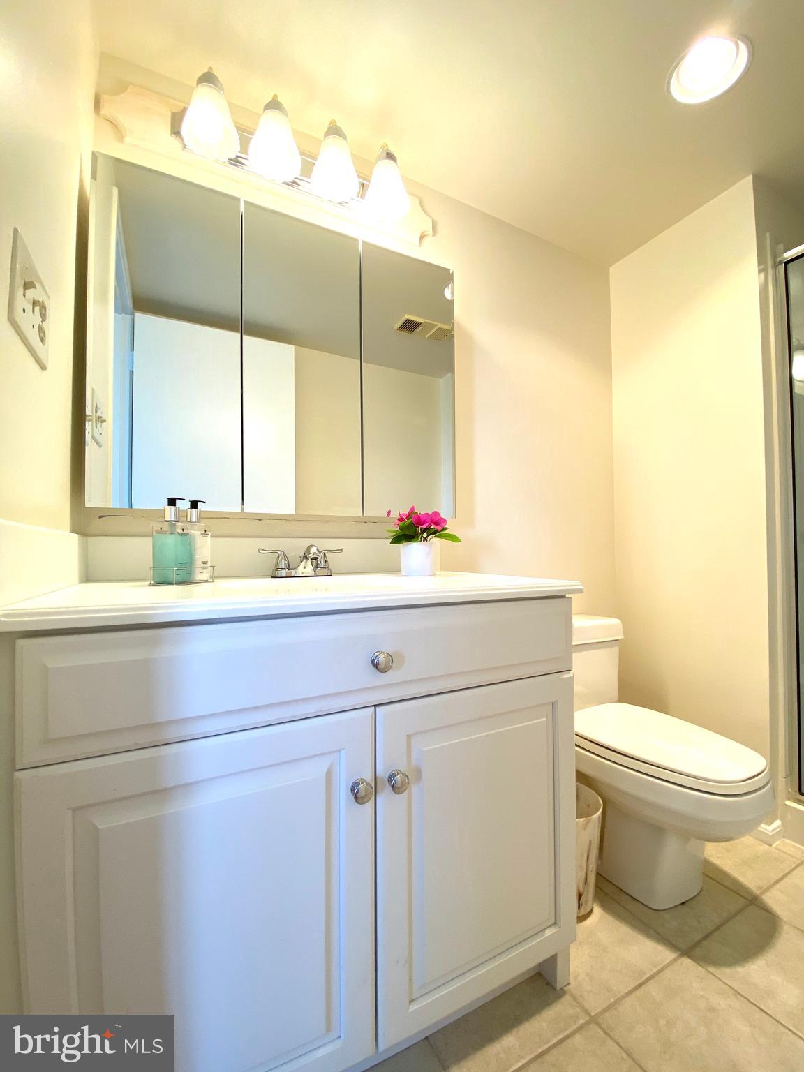 15115 Interlachen Drive, Unit 3812 Silver Spring, MD 20906 - Photo 24 of 39 Second bathroom