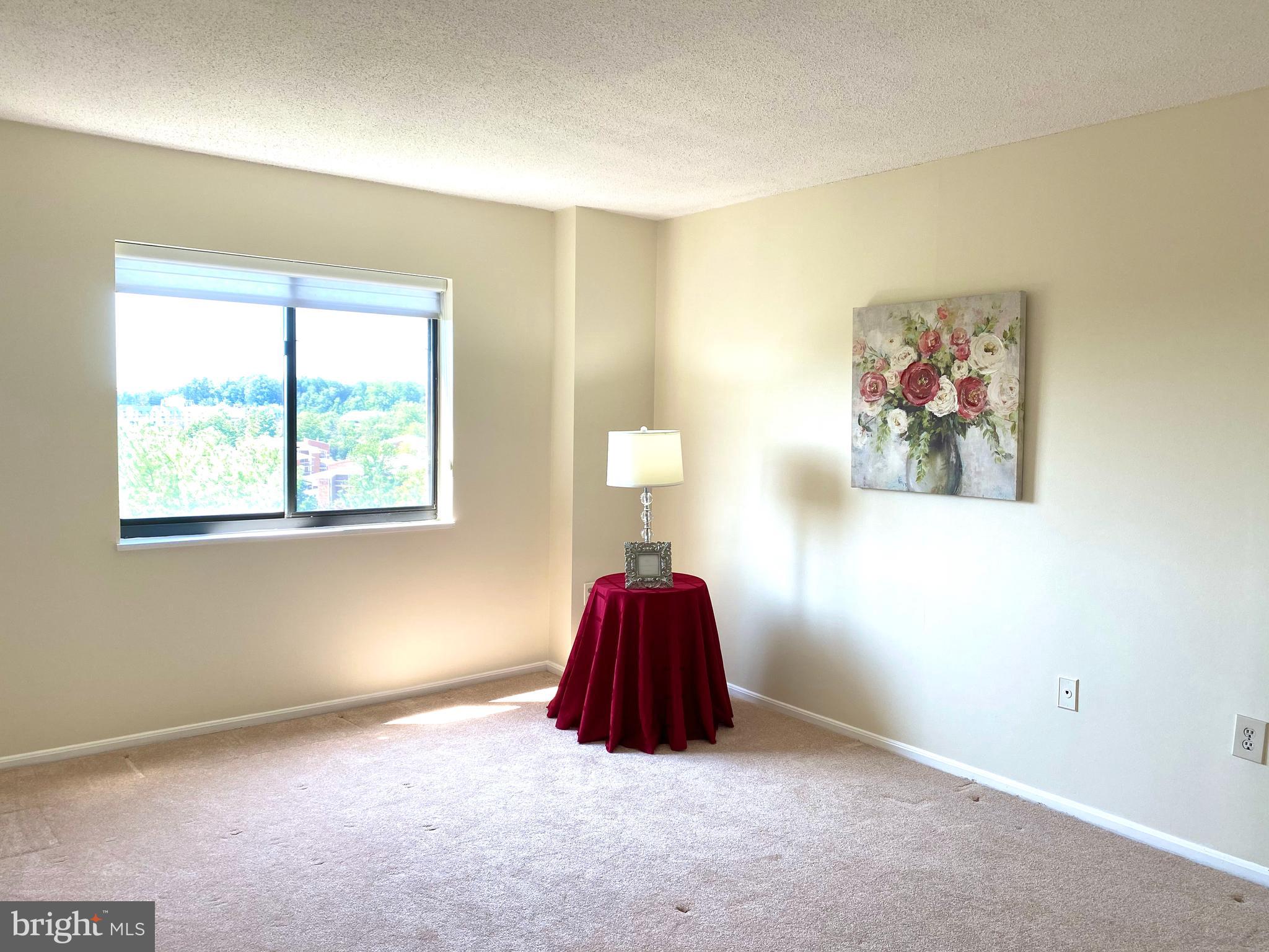 15115 Interlachen Drive, Unit 3812 Silver Spring, MD 20906 - Photo 26 of 39 Primary bedroom