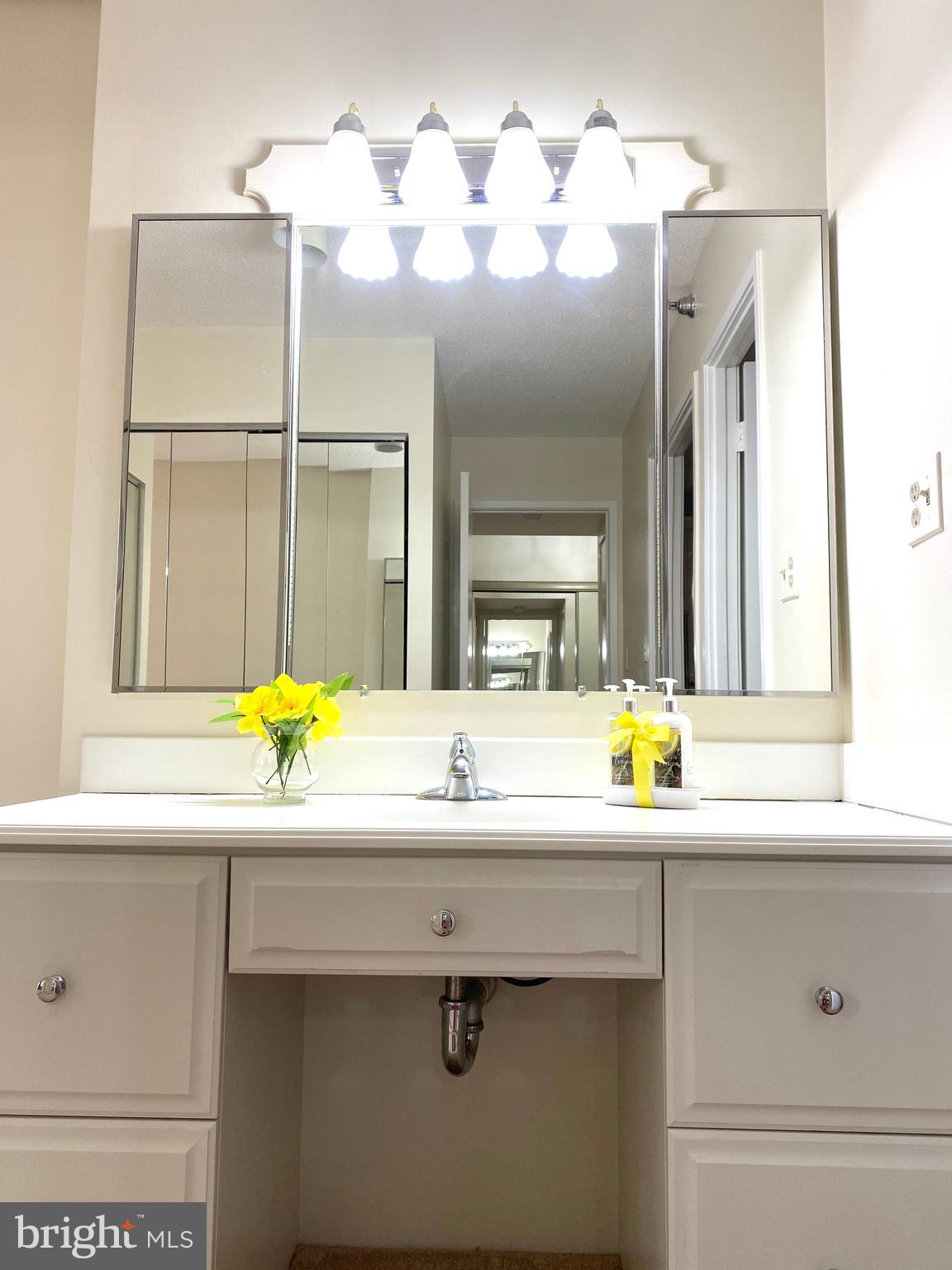 15115 Interlachen Drive, Unit 3812 Silver Spring, MD 20906 - Photo 27 of 39 Vanity outside the primary bathroom