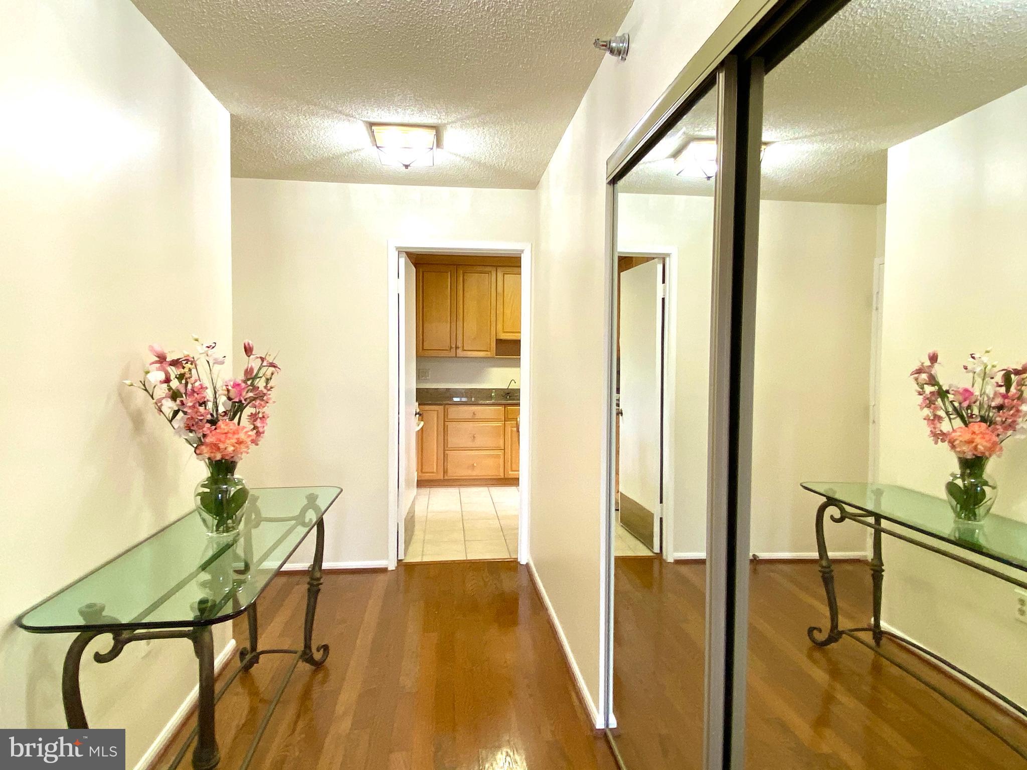 15115 Interlachen Drive, Unit 3812 Silver Spring, MD 20906 - Photo 29 of 39 Entry foyer
