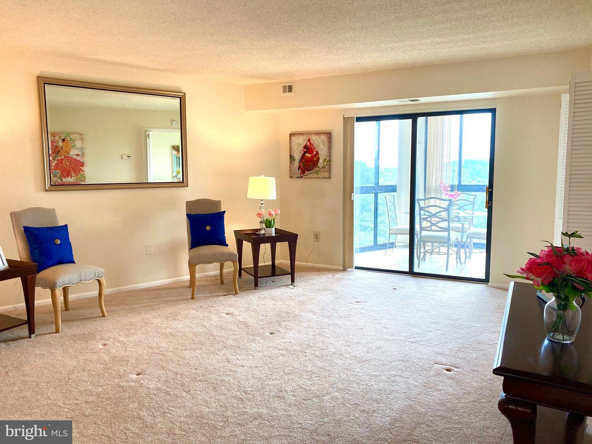 15115 Interlachen Drive, Unit 3812 Silver Spring, MD 20906 - Photo 7 of 39 Lots of natural light