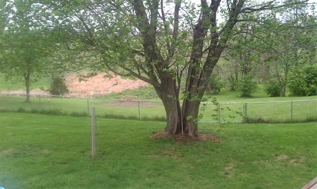 3034 Rohret Road Southwest Iowa City, IA 52246 - Photo 24 of 25 Gallery Image 24