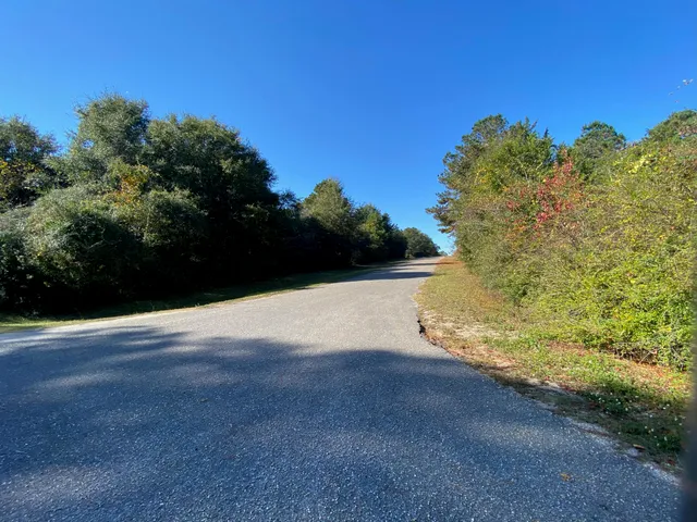a view of a yard with wooden fence