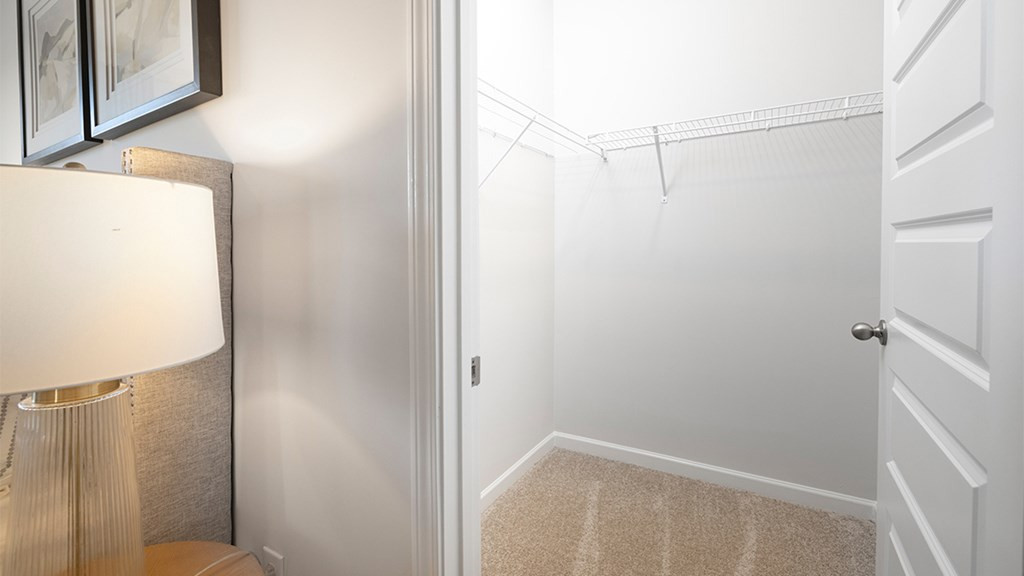 920 Raghorn Road Grovetown, GA 30813 - Photo 13 of 39 Owner's suite closet