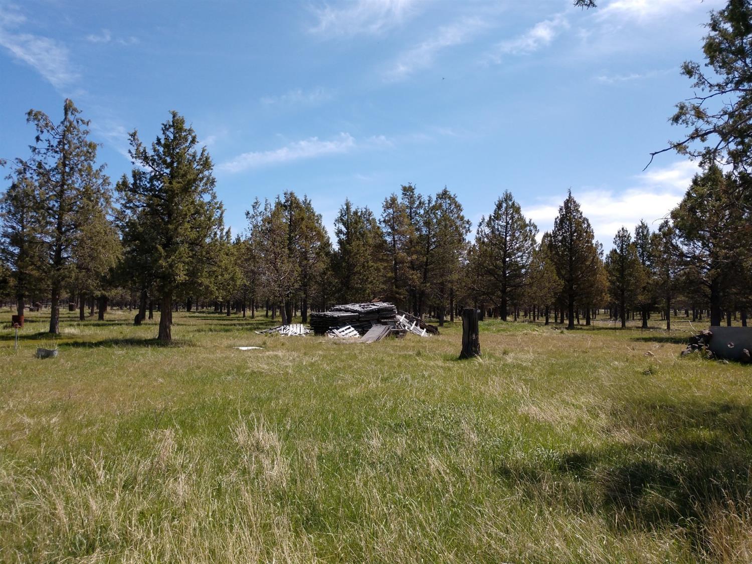 15935 Fishhole Creek Road Bly, OR 97622 - Photo 11 of 16 Additional Photo