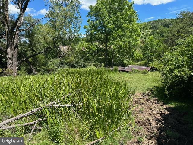 1096 Co Rte 10/2 Franklin, WV 26807 - Photo 8 of 23