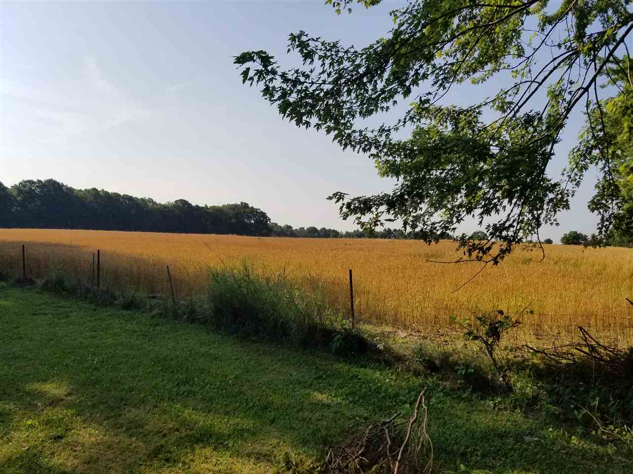 2571 Vandekarr Road Owosso, MI 48867 - Photo 28 of 32 View of Neighboring Farm
