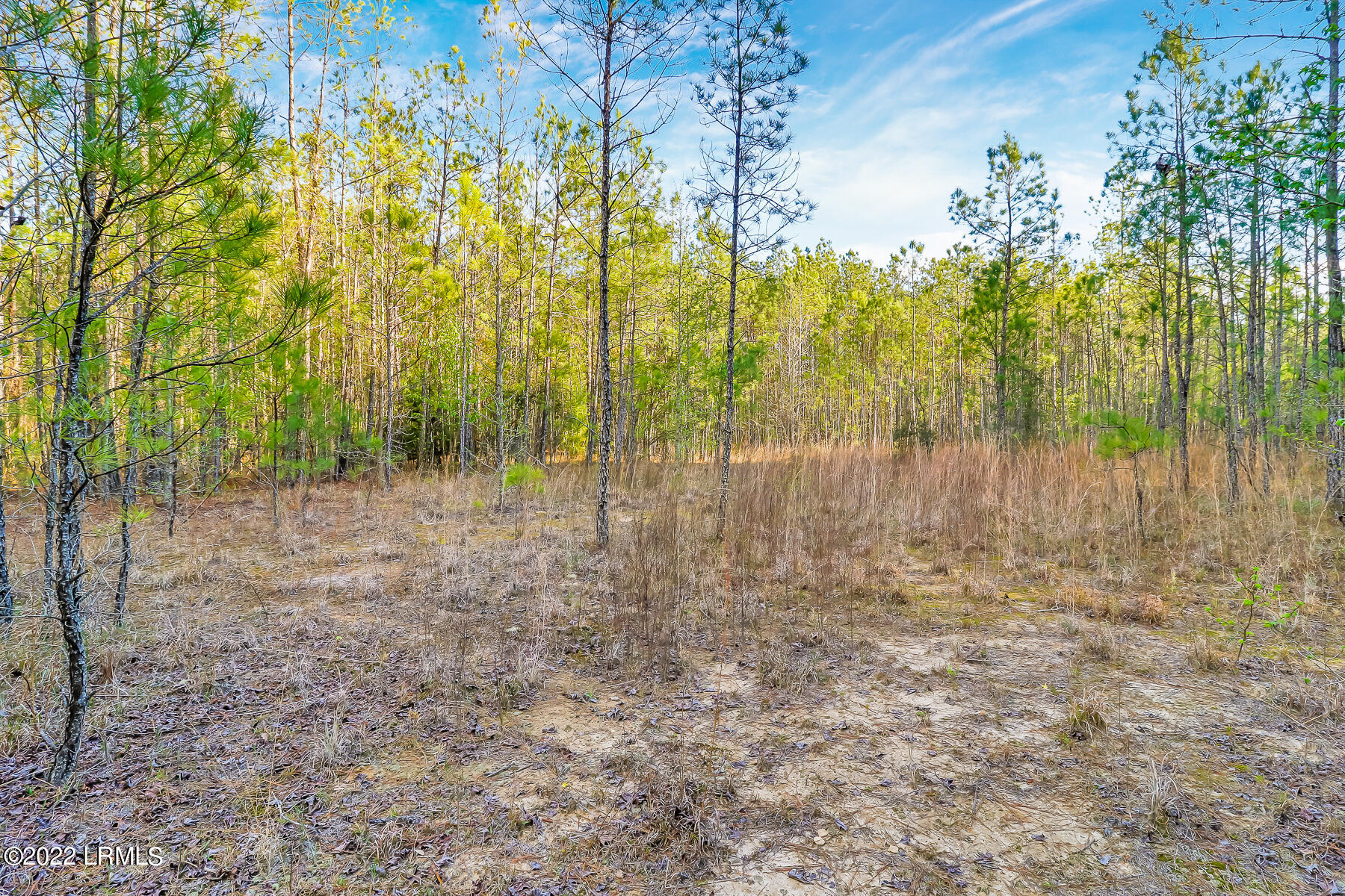 0 West Frontage Road Yemassee, SC 29945 - Photo 17 of 30 Boyd Property-23