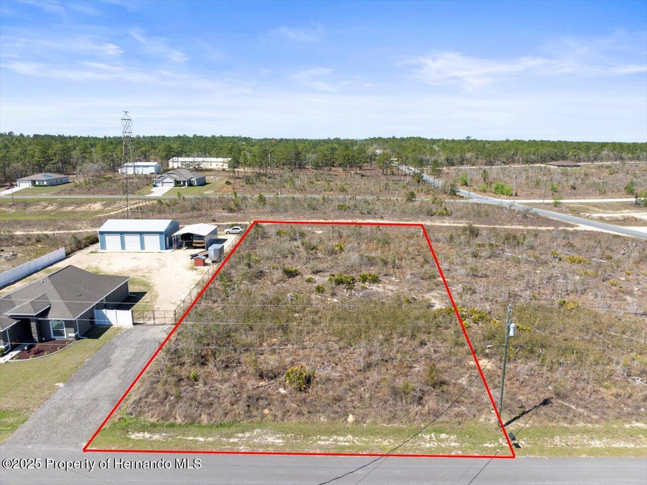 16203 Penn State Road Brooksville, FL 34614 - Photo 3 of 11