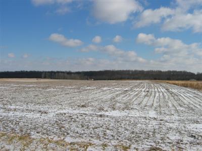 3696 Nicholson Road Clarksville, OH 45113 - Photo 1 of 1 Gallery Image 1