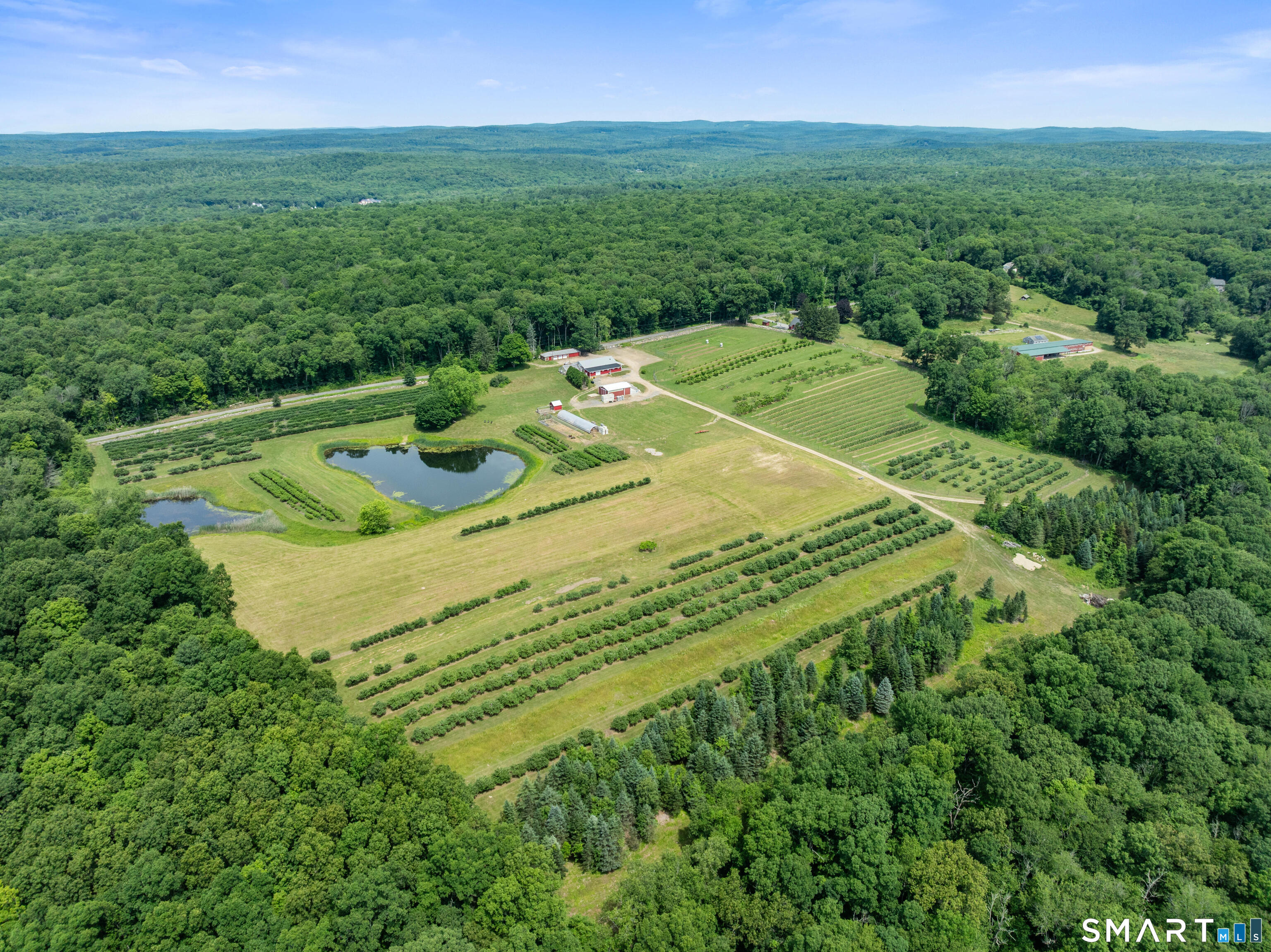 317 Bebbington Road Ashford, CT 06278 - Photo 5 of 40