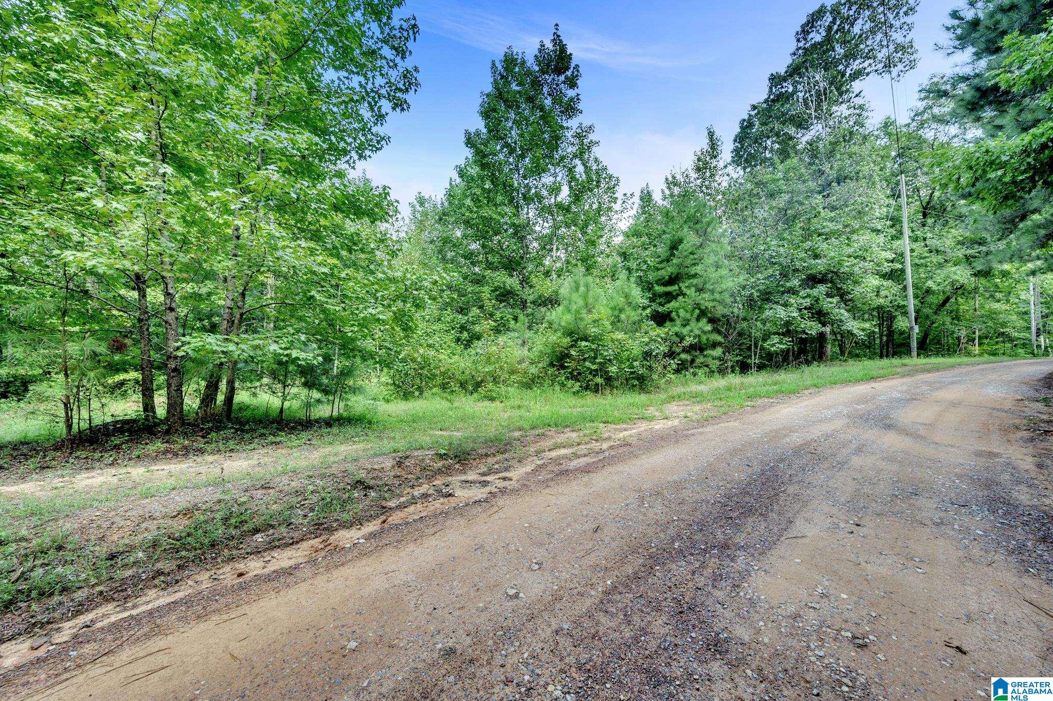 6971 Chambers Lane, Unit 1 Dora, AL 35062 - Photo 1 of 21