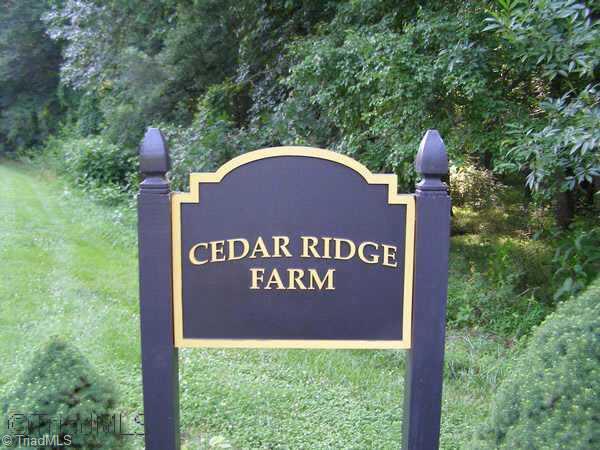 8391 Cedar Ridge Summerfield, NC 27358 - Photo 3 of 9 Other.