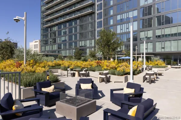 a view of a backyard with plants