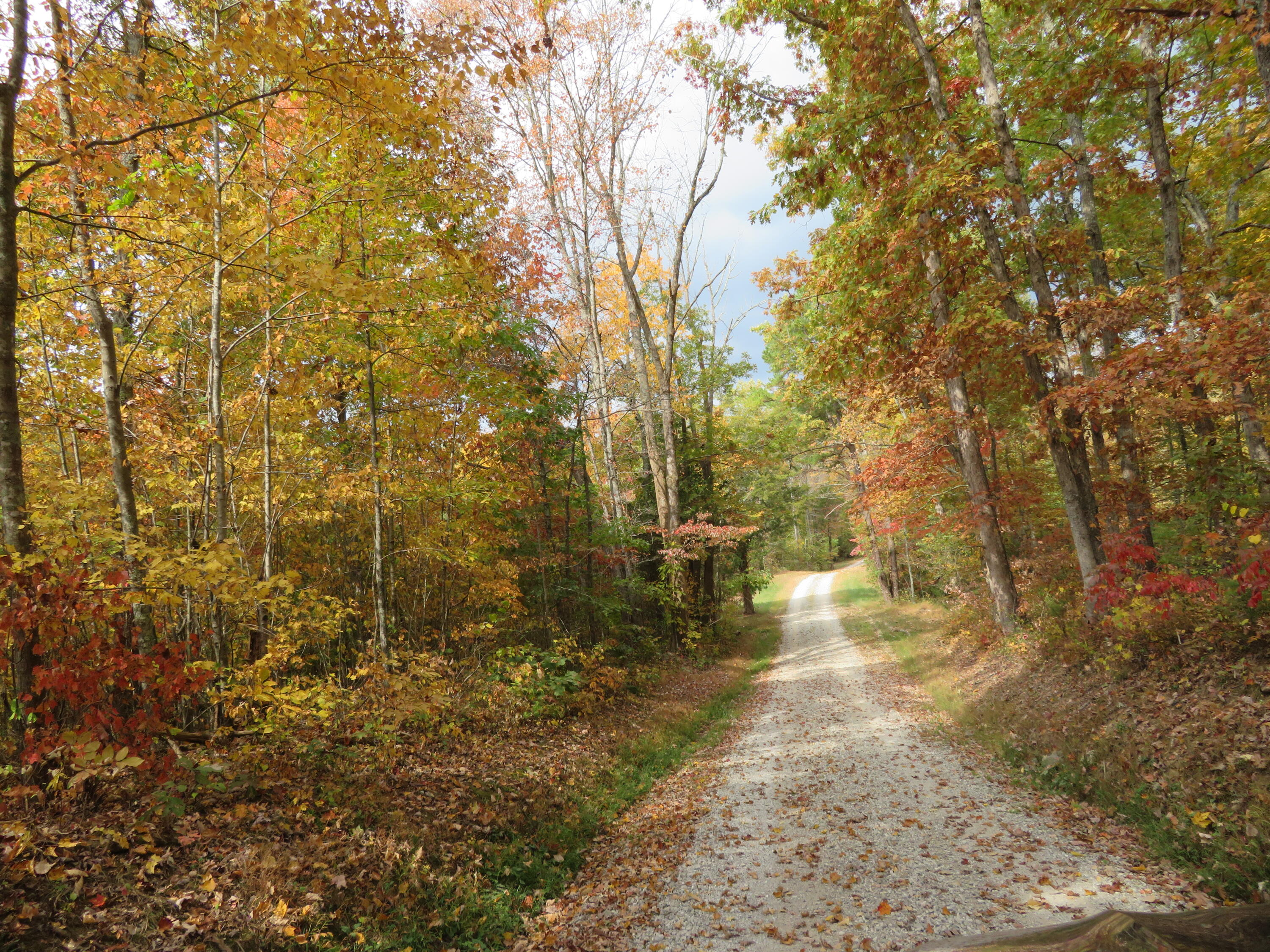 0 Shady Grove Road Mount Vernon, KY 40456 - Photo 13 of 24 IMG_3109