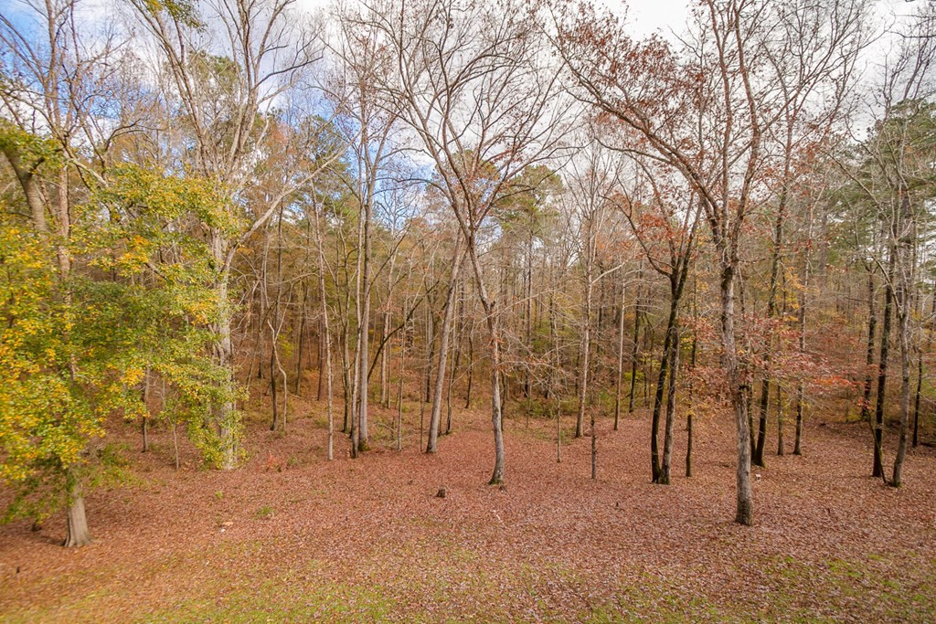 305 Walton Mill Road Appling, GA 30802 - Photo 74 of 75
