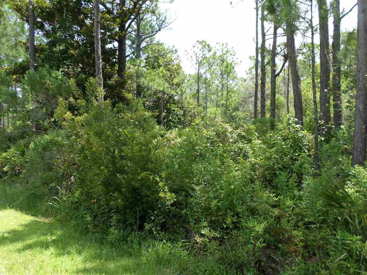 0 Dubose Road Gulf Breeze, FL 32563 - Photo 3 of 6 Gallery Image 3