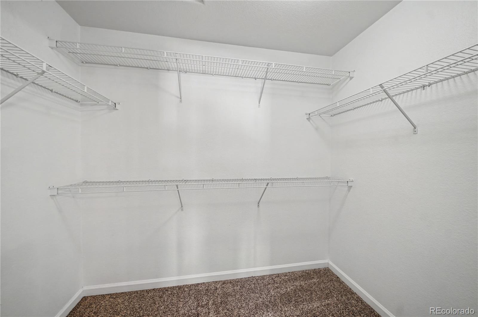 3963 Diamond Ridge View Colorado Springs, CO 80918 - Photo 13 of 19