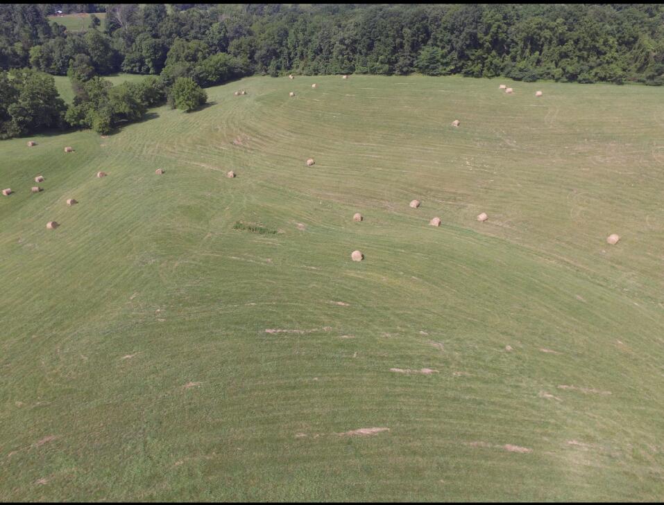 0 Ridge Road Albany, KY 42602 - Photo 3 of 4 IMG_2832