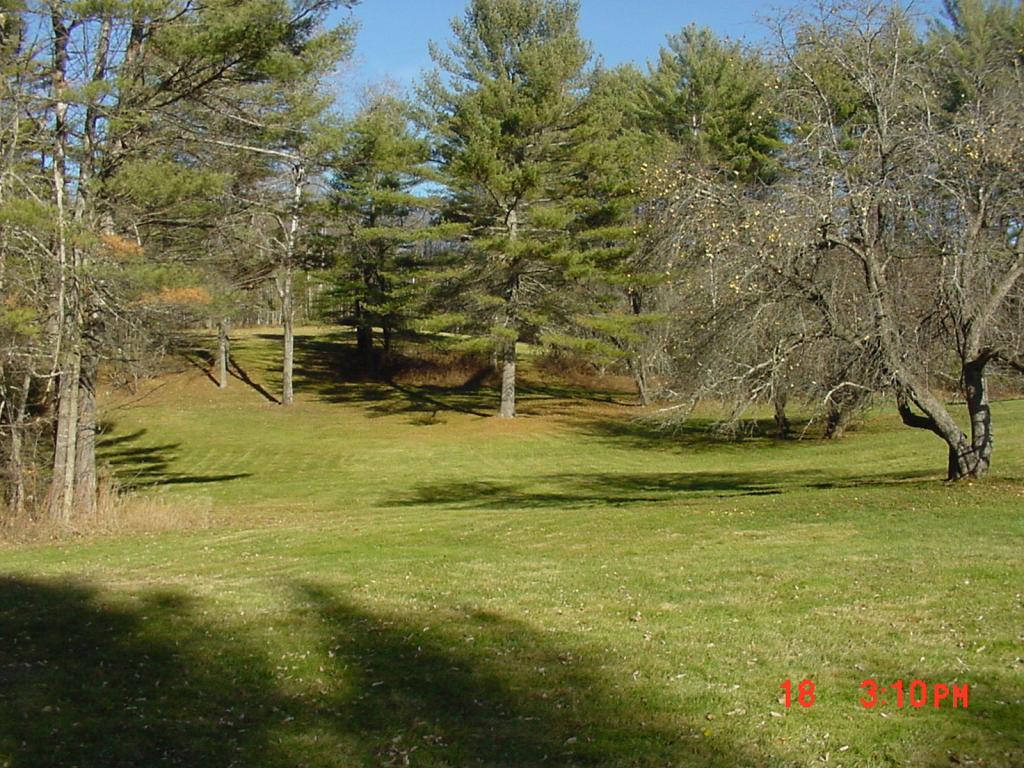 354 Lang Road Bath, NH 03740 - Photo 8 of 30
