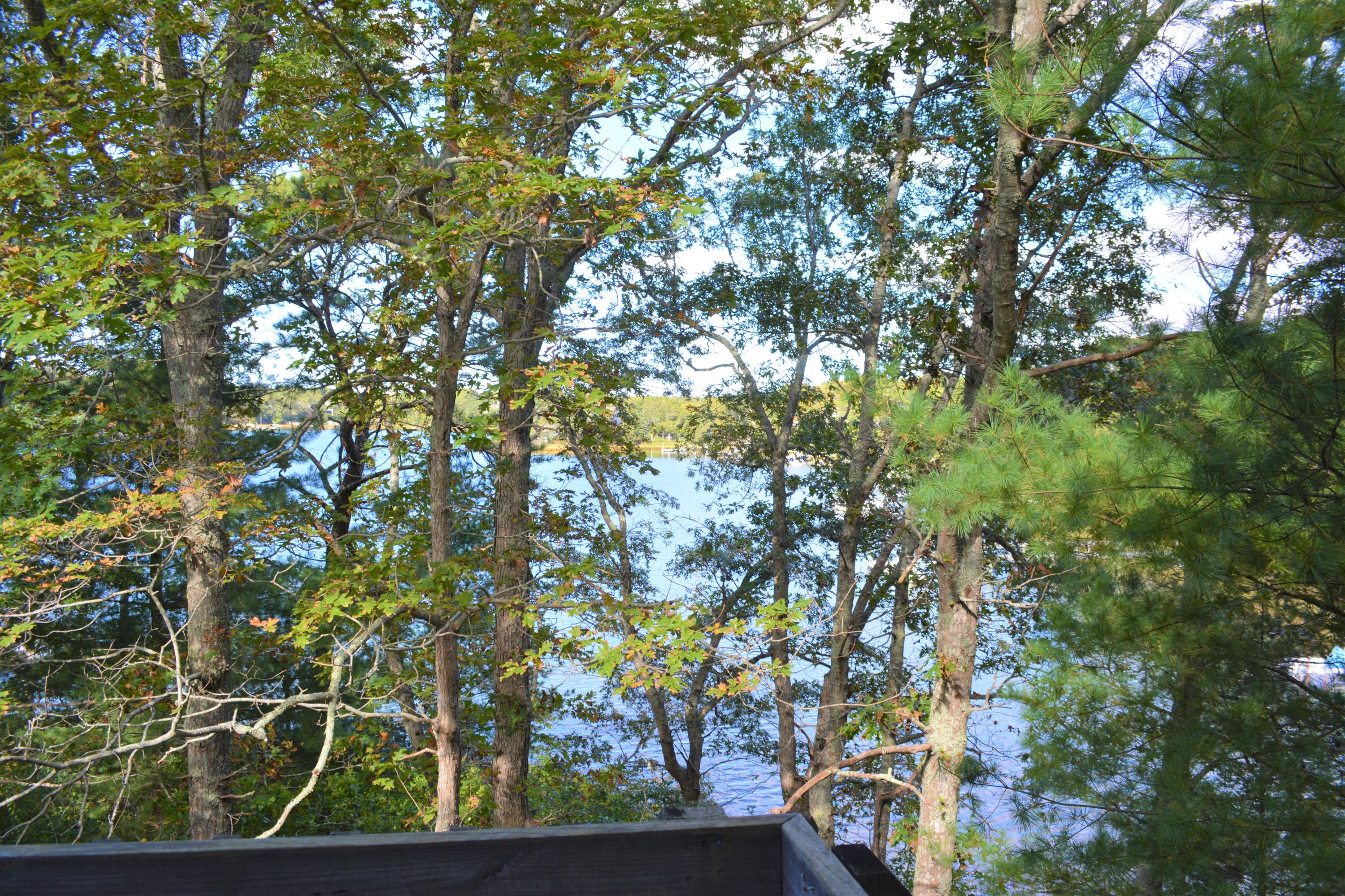 76 Summersea Road Mashpee, MA 02649 - Photo 20 of 24 a view of tree