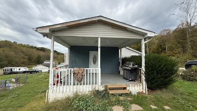 a view of a backyard with potted plants and large tree