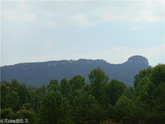 3613 Quaker Church Road Pinnacle, NC 27043 - Photo 13 of 16 Exterior Back. View out the Back!!!!!!!!!!!!!!! WOW!!!!