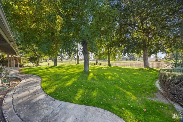 a view of a park with large trees