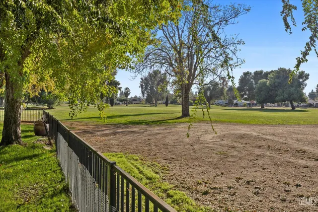 a view of a park with large trees
