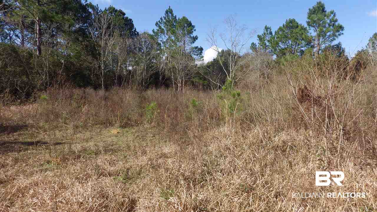 26665 Bruhn Road Elberta, AL 36530 - Photo 3 of 8