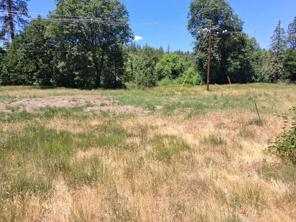 1740 Hugo Road Merlin, OR 97532 - Photo 4 of 6