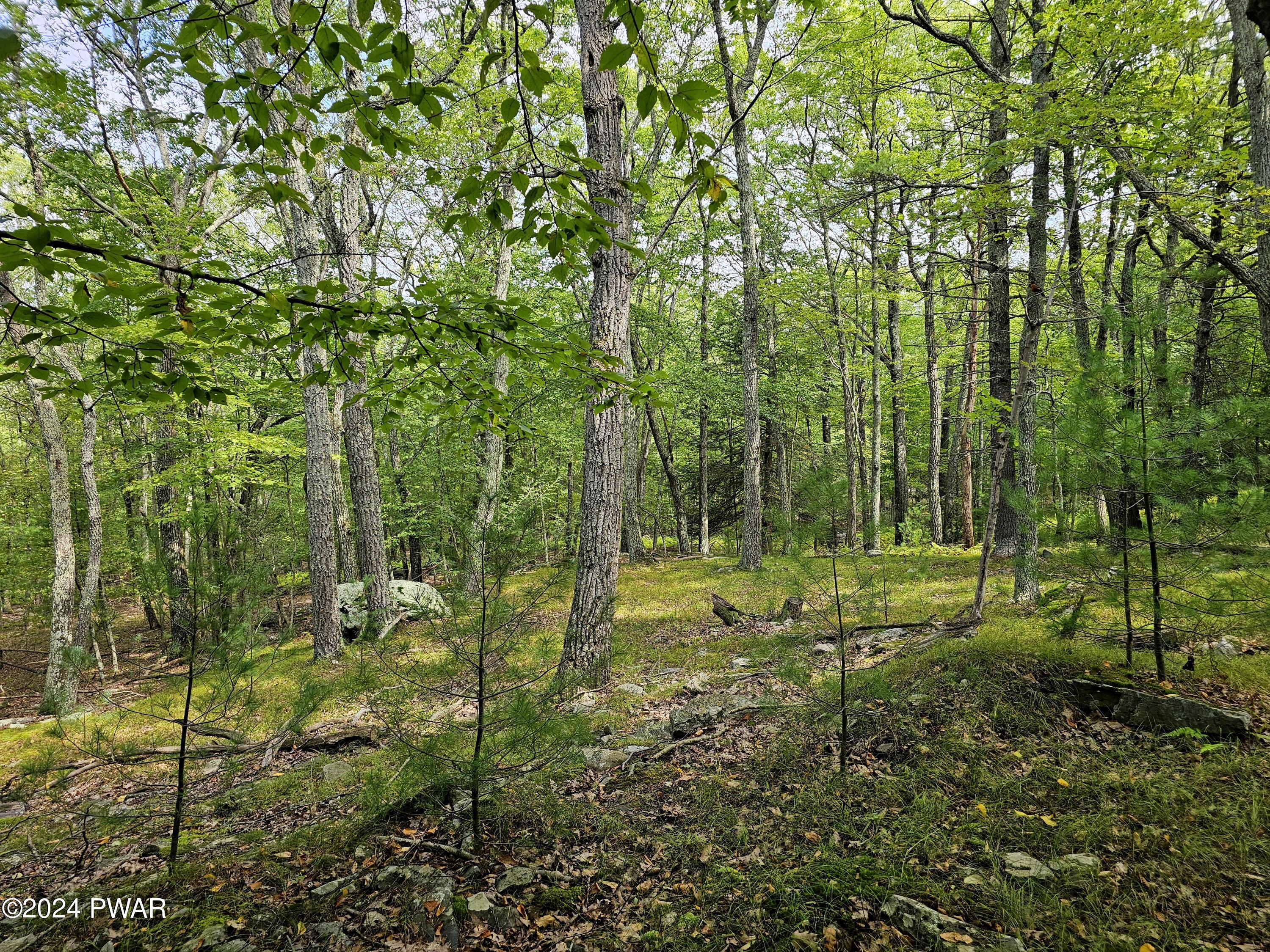 16-32 Oneida Road Shohola, PA 18458 - Photo 5 of 7