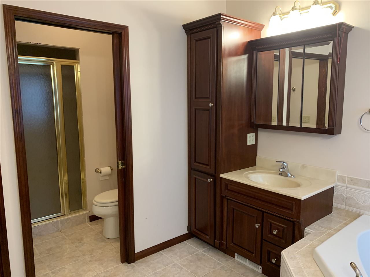 8305 Gale Road Goodrich, MI 48438 - Photo 38 of 72 Master Bath