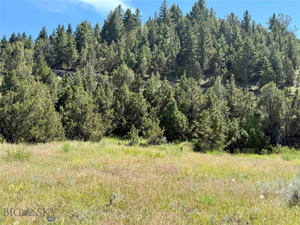 Lot 290 Broken Creek Road Three Forks, MT 59752 - Photo 8 of 22 Gallery Image 8