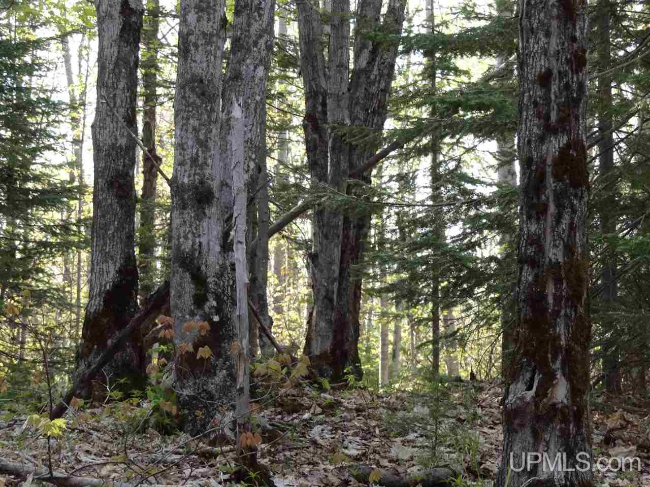 Tbd Rauhala Road, Unit PARCEL 3 Atlantic Mine, MI 49931 - Photo 18 of 19