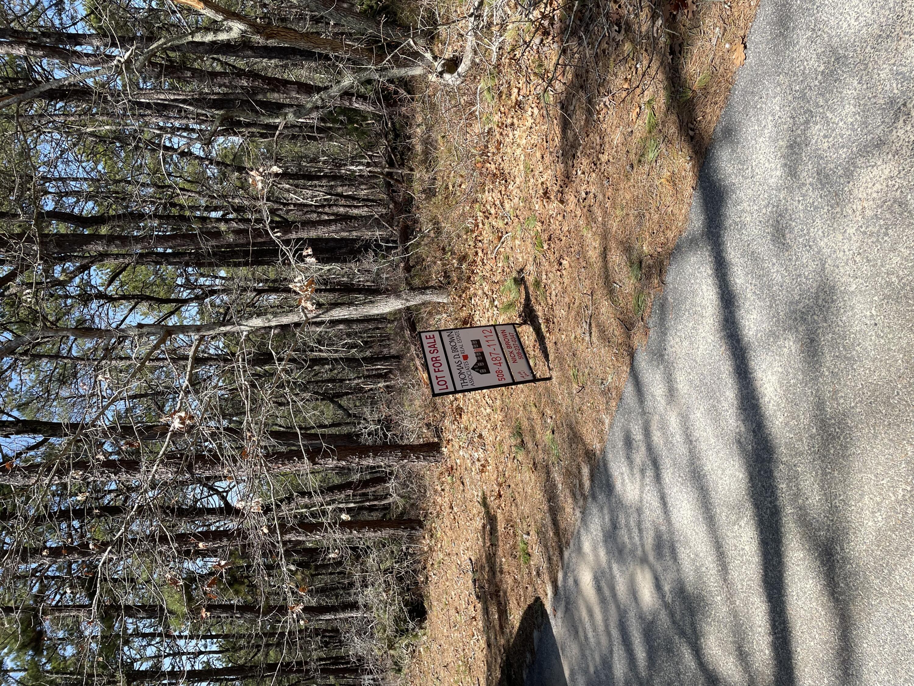 175 Delphi Path