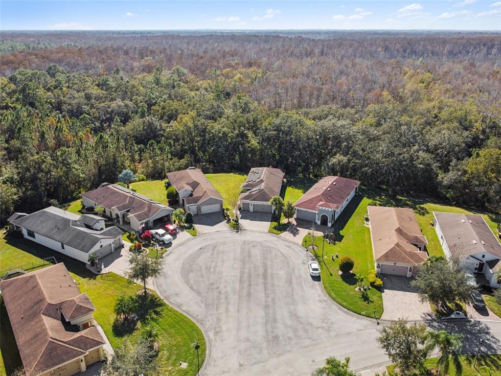 1689 Trabuco Canyon Court Kissimmee, FL 34759 - Photo 38 of 52 an aerial view of a swimming pool and mountain view