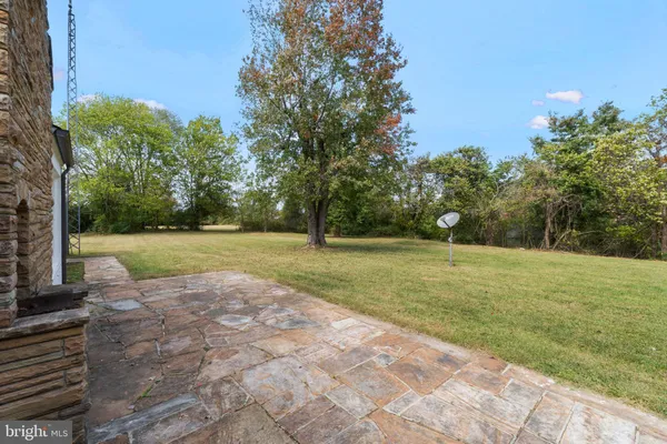 a view of dirt yard with a large tree