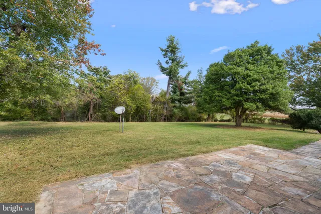 a view of a yard with a tree