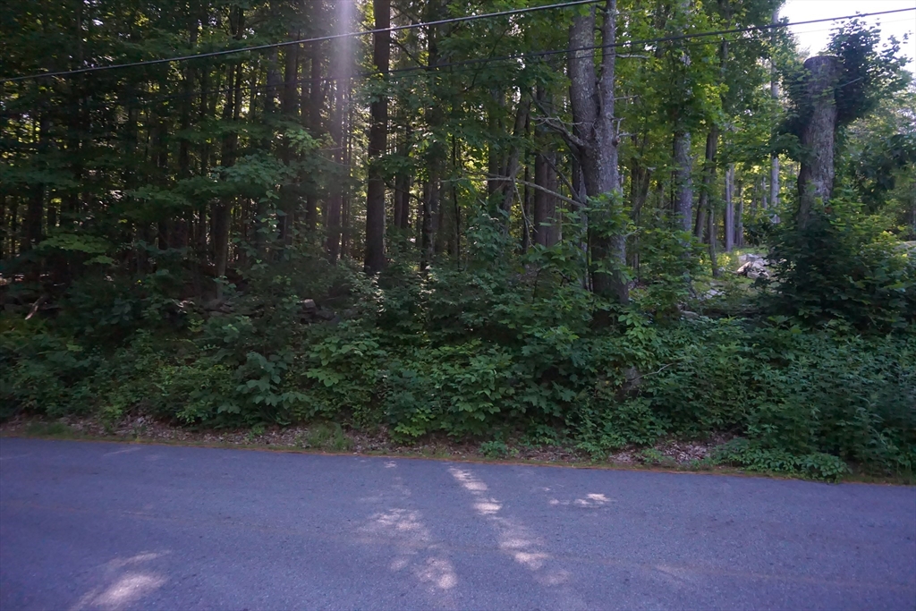 Lot 7 Harrington Road Charlton, MA 01507 - Photo 2 of 7 a view of a yard with plants and trees
