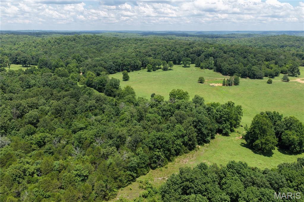 Tbd Fairview Road Imboden, AR 72434 - Photo 11 of 24