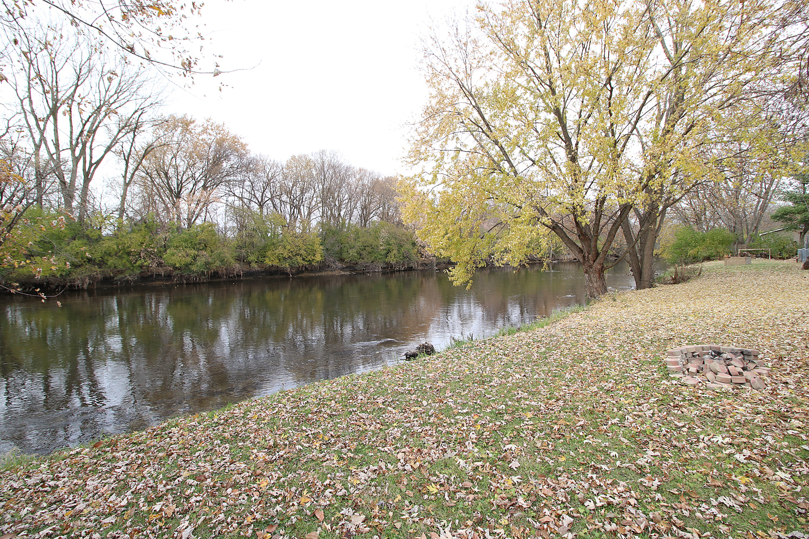 24218 West Main Street Plainfield, IL 60544 - Photo 18 of 19 a view of a lake with a large trees