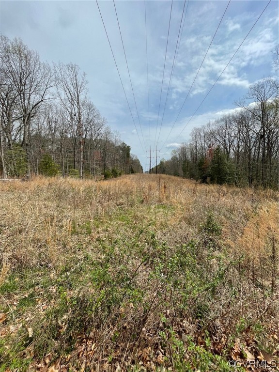 0 Page Road Powhatan, VA 23139 - Photo 3 of 3 Gallery Image 3